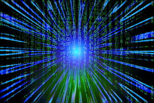 九游游戏-新加坡队未来之路：如何在全球乒乓赛事中争夺更多荣誉，新加坡乒乓球厉害吗